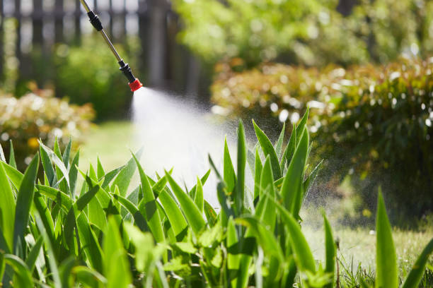 24/7 Emergency Wasp Removal experts in Garland, NC