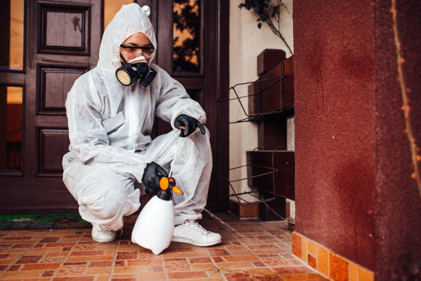 Reliable Wasp Removal contractor in Garland, NC by Show Me Pest Control