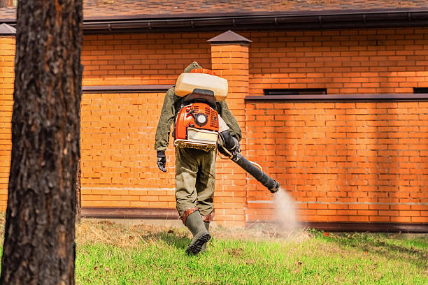 Top rated local Wasp Removal specialists in Garland, NC